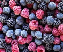 «Українська ягода» будує комплекс з шокового заморожування ягід